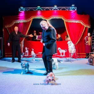 Classic-Wintercircus-Kutenholz-2019-169