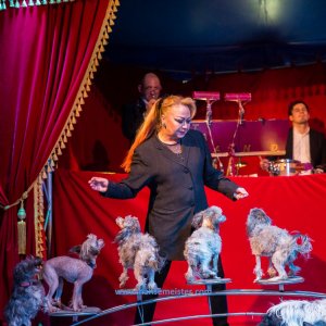 Classic-Wintercircus-Kutenholz-2019-177