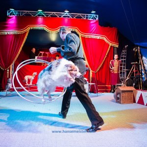 Classic-Wintercircus-Kutenholz-2019-189