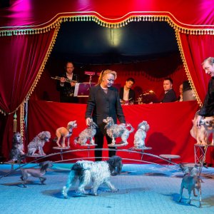Classic-Wintercircus-Kutenholz-2019-199