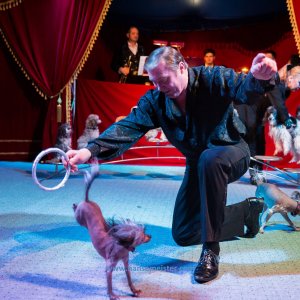 Classic-Wintercircus-Kutenholz-2019-202