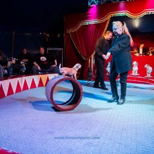 Classic-Wintercircus-Kutenholz-2019-231