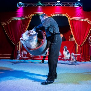 Classic-Wintercircus-Kutenholz-2019-240