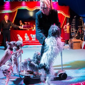 Classic-Wintercircus-Kutenholz-2019-247
