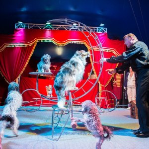 Classic-Wintercircus-Kutenholz-2019-291