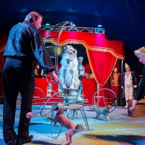 Classic-Wintercircus-Kutenholz-2019-293