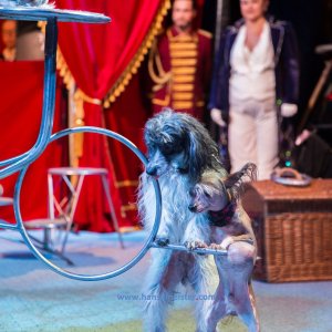 Classic-Wintercircus-Kutenholz-2019-296