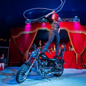 Classic-Wintercircus-Kutenholz-2019-440