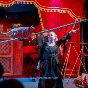 Classic-Wintercircus-Kutenholz-2019-573
