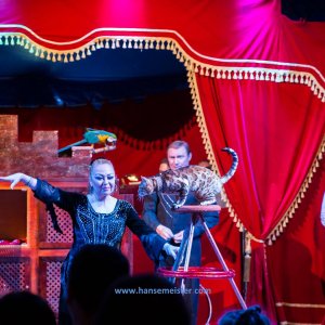 Classic-Wintercircus-Kutenholz-2019-586