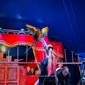 Classic-Wintercircus-Kutenholz-2019-623