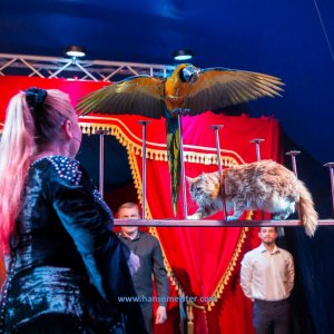 Classic-Wintercircus-Kutenholz-2019-634