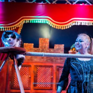 Classic-Wintercircus-Kutenholz-2019-678