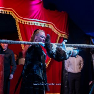 Classic-Wintercircus-Kutenholz-2019-682