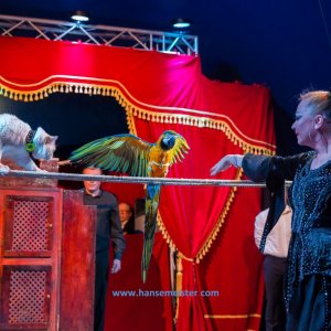 Classic-Wintercircus-Kutenholz-2019-704