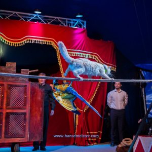 Classic-Wintercircus-Kutenholz-2019-711