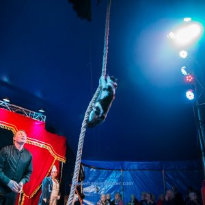 Classic-Wintercircus-Kutenholz-2019-733