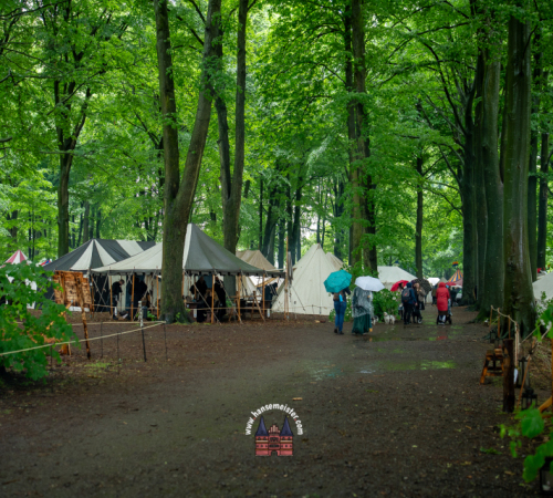 Spectaculum-Hohenweststedt-2025-Sonntag-1