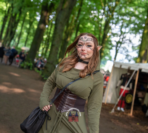 Spectaculum-Hohenweststedt-2025-Sonntag-1014
