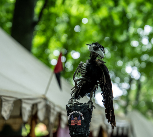 Spectaculum-Hohenweststedt-2025-Sonntag-11