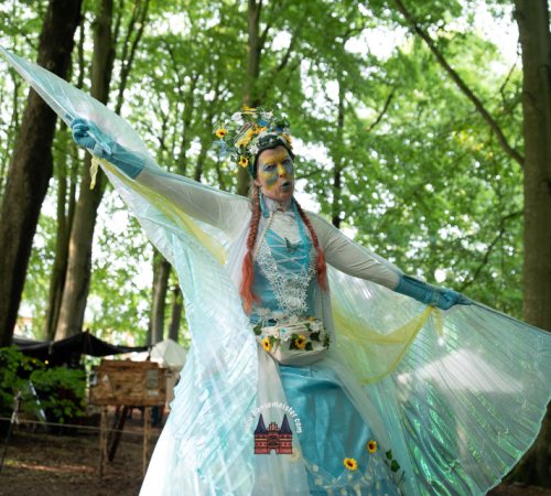 Spectaculum-Hohenweststedt-2025-Sonntag-1193