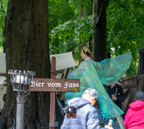 Spectaculum-Hohenweststedt-2025-Sonntag-266