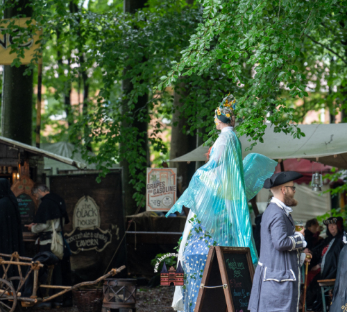 Spectaculum-Hohenweststedt-2025-Sonntag-268