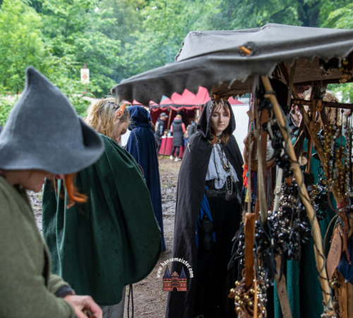 Spectaculum-Hohenweststedt-2025-Sonntag-297