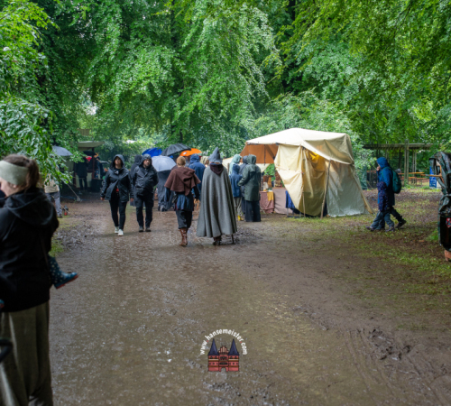 Spectaculum-Hohenweststedt-2025-Sonntag-343