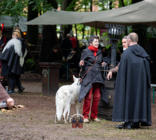 Spectaculum-Hohenweststedt-2025-Sonntag-780