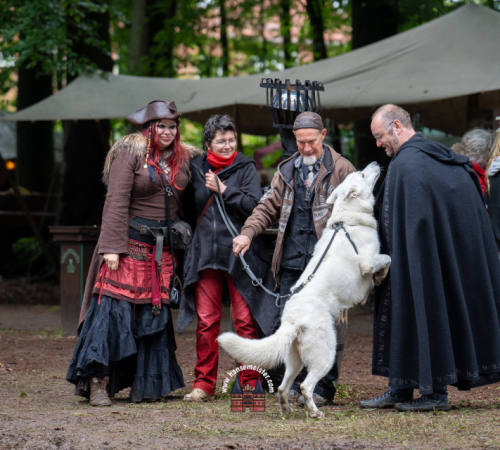 Spectaculum-Hohenweststedt-2025-Sonntag-808