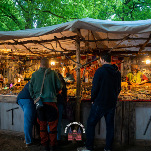 spectaculum-howe-sonntag-2023-2411