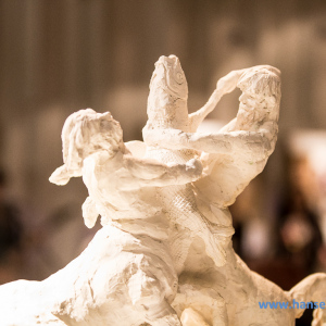 Drachenflug_beim_KulturWinterKaltehofe_2016_65_