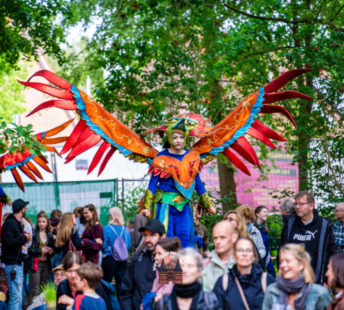 superkunstfestival-Freitag-12-06-2026-1336