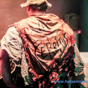 1_MegaBosch_Taverna_Cerritus_2014_424