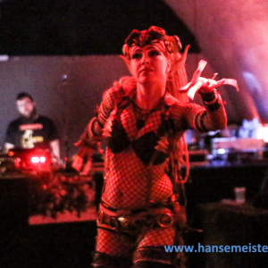 MegaBosch_Taverna_Cerritus_2014_131