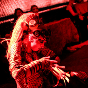 MegaBosch_Taverna_Cerritus_2014_252