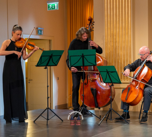 venezianische-Tage-Schwerin-2023-131