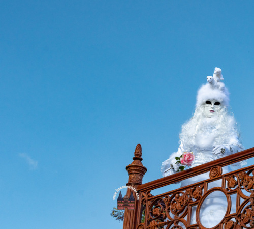 venezianische-Tage-Schwerin-2023-1615