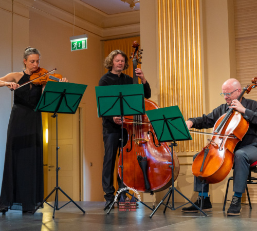 venezianische-Tage-Schwerin-2023-166