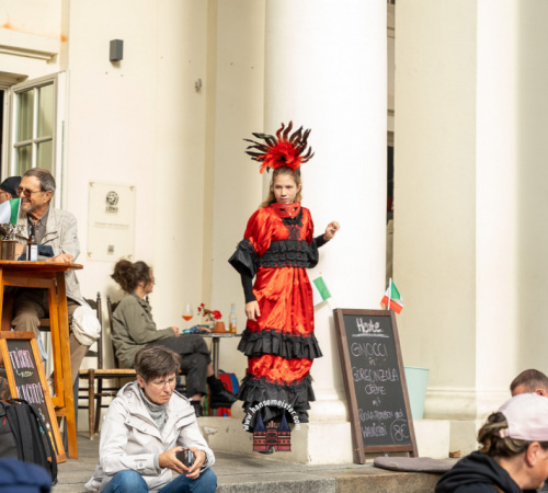 venezianische-Tage-Schwerin-2023-1754