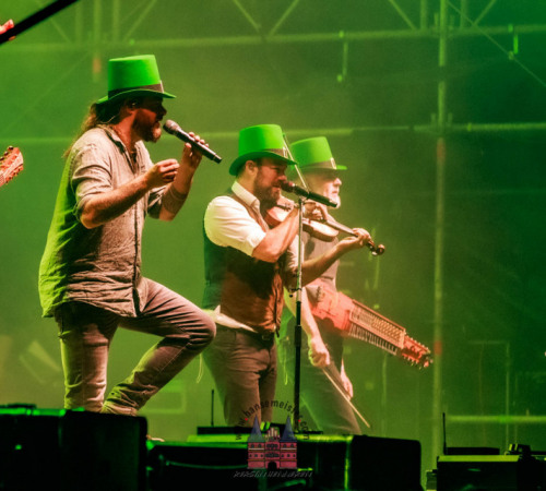 mps_buebu2_03.08-versengold-37