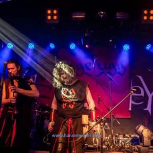Band_Haggefugg_mit_Storrmseeker_Vogelfrey_Tanz_und_Triebe_Tour-65