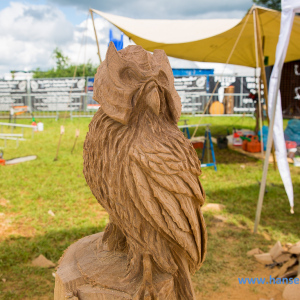 Wacken_2016_Friday_163_