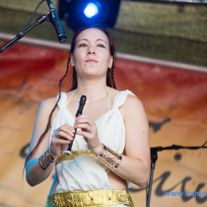 Wacken_2016_Friday_330_