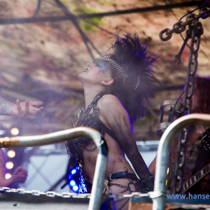 Wacken_2016_Friday_526_