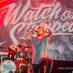 Wacken_2016_Saturday_142_