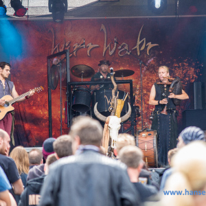 Wacken_2016_Thursday_104_