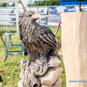 Wacken_2016_Thursday_709_