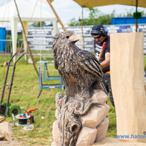 Wacken_2016_Thursday_711_